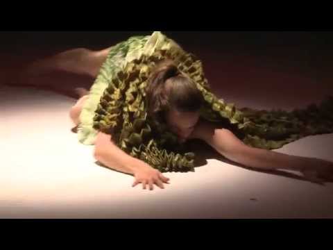 Common Threads Wearable Art Showcase 2015