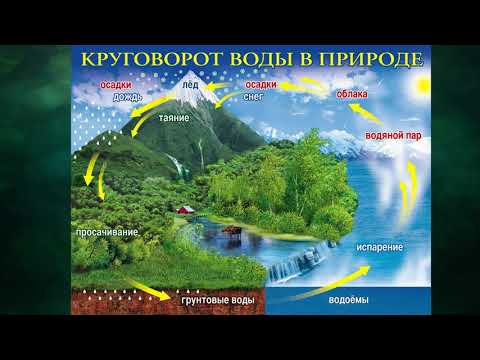 Учебник вслух - "Круговорот воды в природе", Окружающий мир 3 класс ч.1 ...