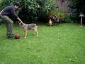 Le meilleur ami de l\ Le meilleur ami de l\