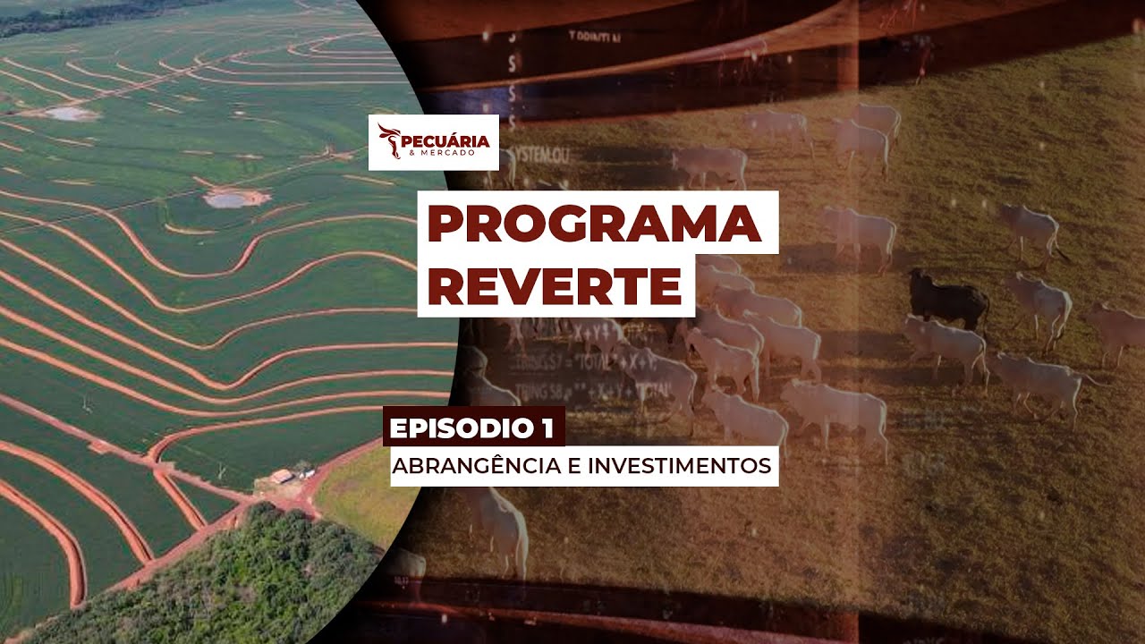 Programa privado de recuperação de solos degradados já atende 470 fazendas no Brasil