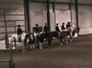 storm and i in the novice amateur hunt seat equitation class at the zone 10 apha show. he picked up his first 4 points, at his first apha show. no critiques, please.