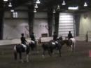 storm and i in the novice amateur hunt seat equitation class at the zone 10 apha show. he picked up his first 4 points, at his first apha show. no critiques, please.