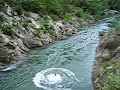 Super salto al Noguera Pallaresa