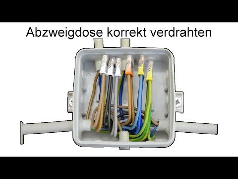 Abzweigdose installieren und verdrahten