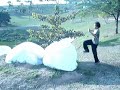 Le Parkour Indaiatuba