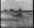 McCormick Tractors Original Video... TURKEY