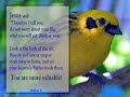 praise, worship and thanksgiving from the heart.

you can read (every version of) the bible online at http://www.biblegateway.com/

you can read or listen to excellent biblical teaching online at http://www.preachtheword.com/sermon/1...

you can read this little book online 