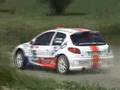 Ieper2006 Peugeot 206 S1600