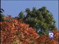 Fall Colors Right Around The Corner