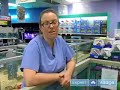 How to Care For a Ferret : Pet Ferret Vaccinations