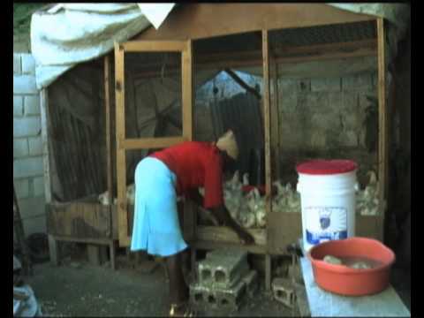 Video: Teen Battles BC