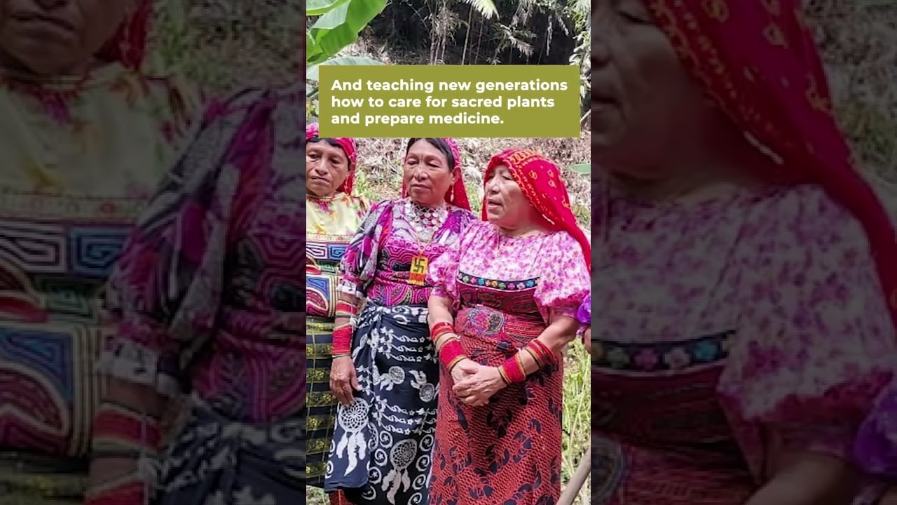 Siembra de Farmacias Vivientes - Red de Mujeres Bundorgan