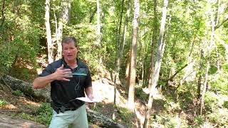 Lake Keowee Real Estate Video Update September 2019 Mike Matt Roach