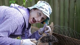 Greening Your Garden