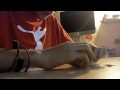 tech deck unboxing
