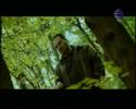 Vedi il video