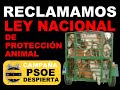 PSOE Despierta | Entra en nuestro blog