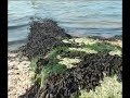 East Cowes Beach
