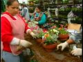 Flower Baskets using a "Recipe"