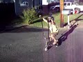homemade apes