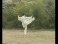Funai (Imperial) yang taichi dajia