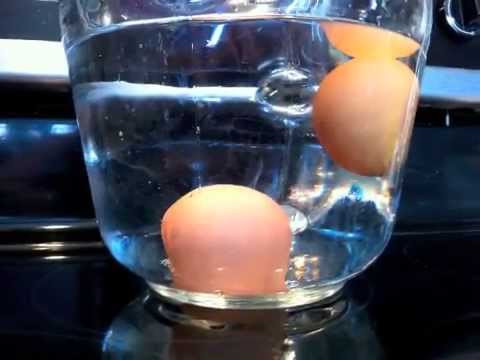 how to know egg quality