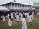 patiz field demo