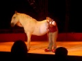 Cheval