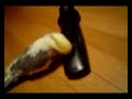 Brady vs Remote