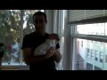 Hi From Noam Kashani
