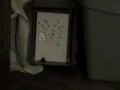 My airsoft guns My airsoft guns