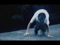 狂人日記