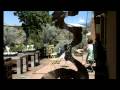 videos de 02 Tree House Cafe (HD)
