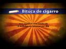 Vinheta TVBUS - bituca
