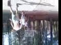 Three Man Dunk