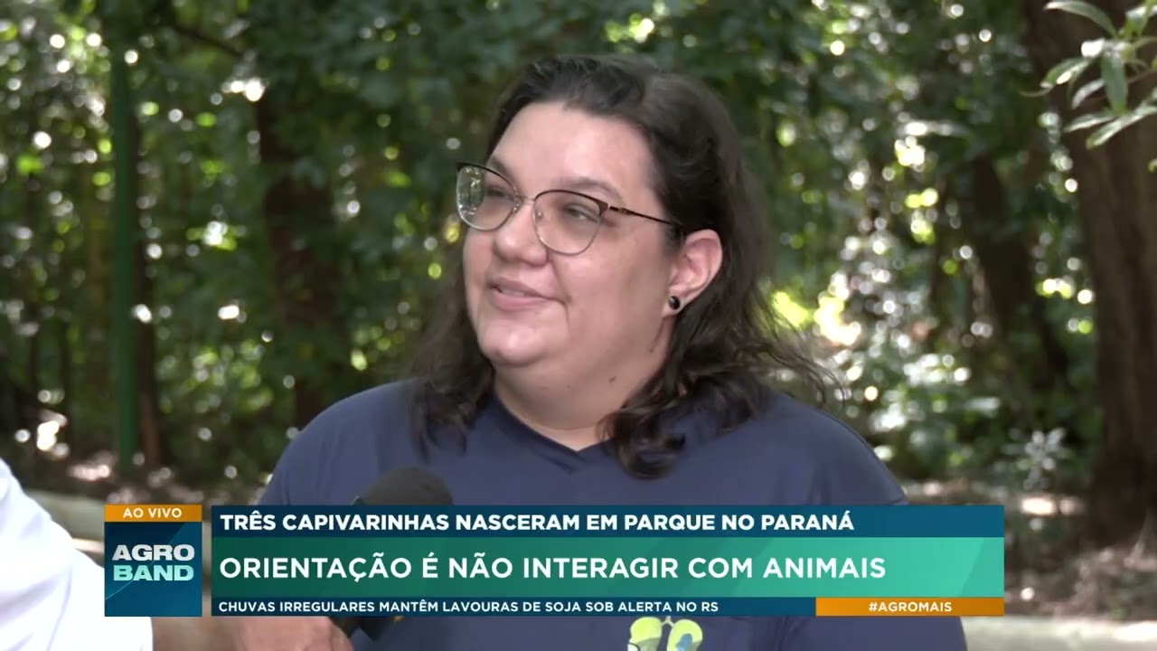 Três capivarinhas nasceram em parque no Paraná: Orientação é não interagir com animais