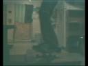 videos de Herkimer meadows C-3 box sesh 1