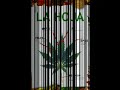 Roberto Nesta & La Hierba