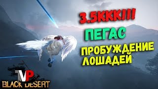 Пробуждение лошадей - Пегас (3.5ккк - не дорого ли? Пробуждение лошадей - Пегас (3.5ккк - не дорого ли?