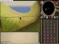 St00t at Ape Toll