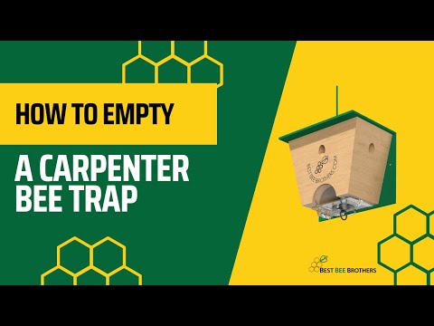 image preview of video showcasing Nervous to Open the Trap? How to Empty the Turbo Trap
