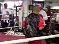 Miguel Cotto and Shane Mosley training