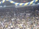 DALE KANARYA DALE FENERBAHÇE DALE KANARYA DALE FENERBAHÇE