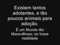 QUER-ADOTAR