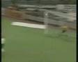 Magyar gólok 1999
