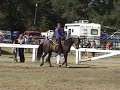 Taylor and Portia riding western in their second riding class. Taylor and Portia riding western in their second riding class.