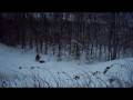 videos de 12/02/08 snowmobile ride jump