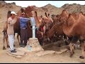 chant Mongol