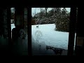 Deer comes to Reception