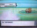 pokemon ev training improved!!